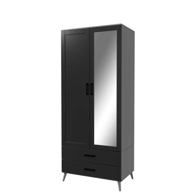 2-Door 2-Drawer Mirror Wardrobe with Legs Grey Grey & Black 55 x 9.5 x 149 1