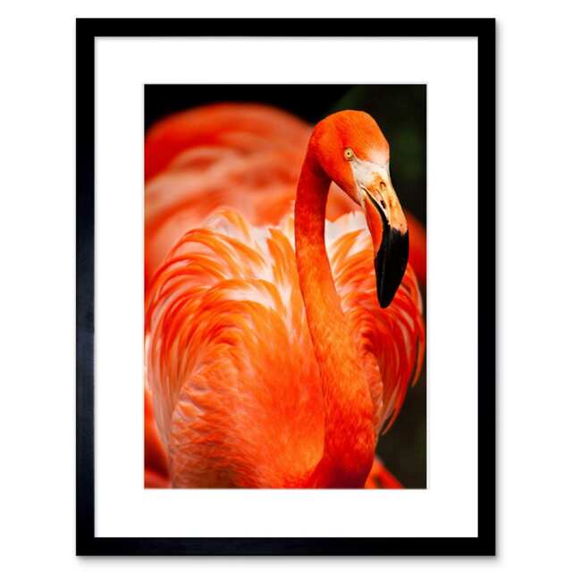 "Flamingo Bird Close Up Photograph Animal Lover 9x7"" Black Framed Wall Art Print"