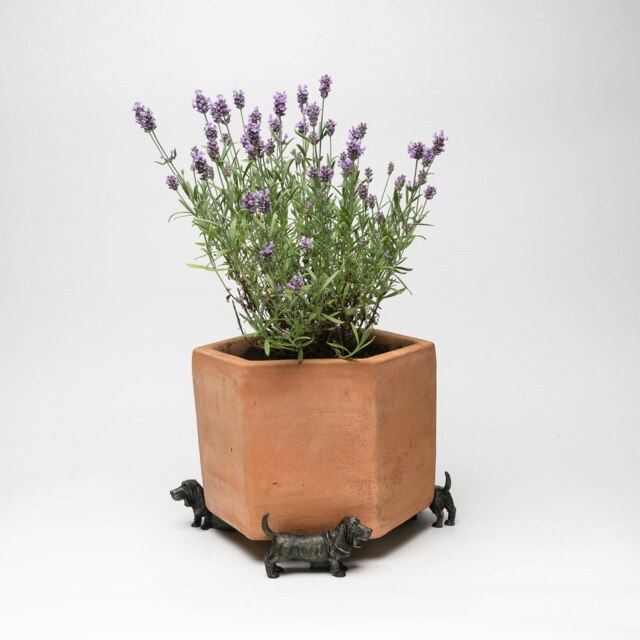 Potty Feet Bronze Basset Hound Garden Décor Multi