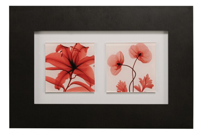 Red Poppy Glass Framed Double Wall Art Multi