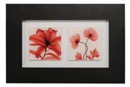 Red Poppy Glass Framed Double Wall Art Multi