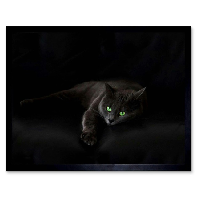 "Black Cat Yellow Eyes Lazy Sleepy Home Decor 12x16"" Framed Wall Art Print"
