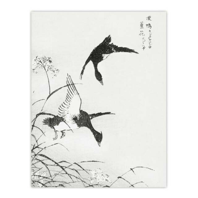"Tufted Duck and Reed Flower Japanese Vintage Wall Art Print Kashu 12x16"""