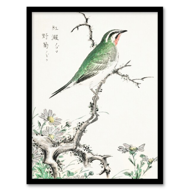 "Ruby Throat Bird and Wild Camomile Vintage Framed Wall Art Print Kashu 12x16"""
