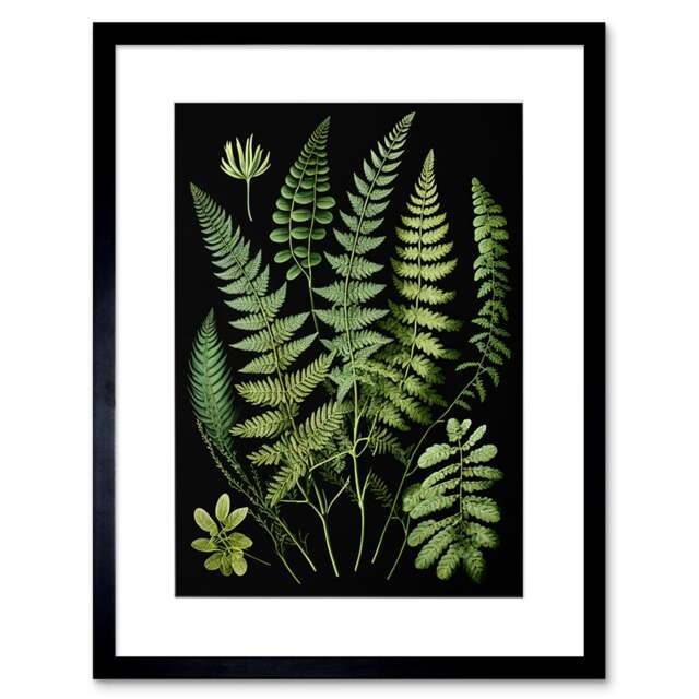 "Fern Fronds Detailed Leaves Botanical 9x7"" Black Framed Wall Art Print"