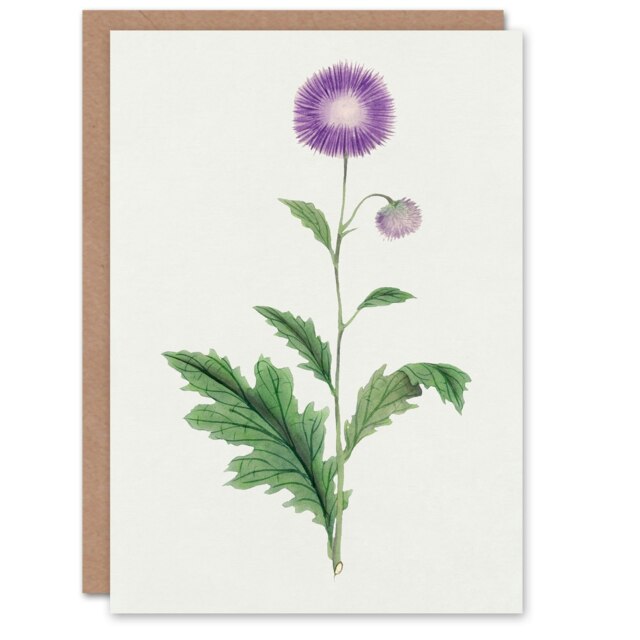 Vintage Japanese Botanical Art Card Thistle Flower