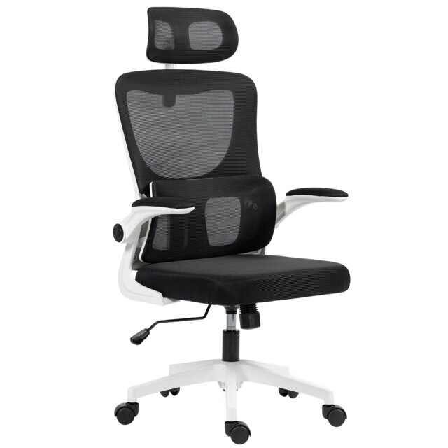 Vinsetto Mesh Office Chair with Adjustable Headrest, Lumbar Support, Black Black
