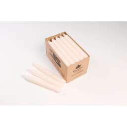 Essential 7 Hour Candles Ivory 25pk - One Colour - One Size