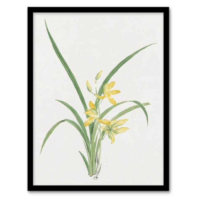 "Yellow Lilies Framed Wall Art Print Vintage Japanese Botanical 12x16"""