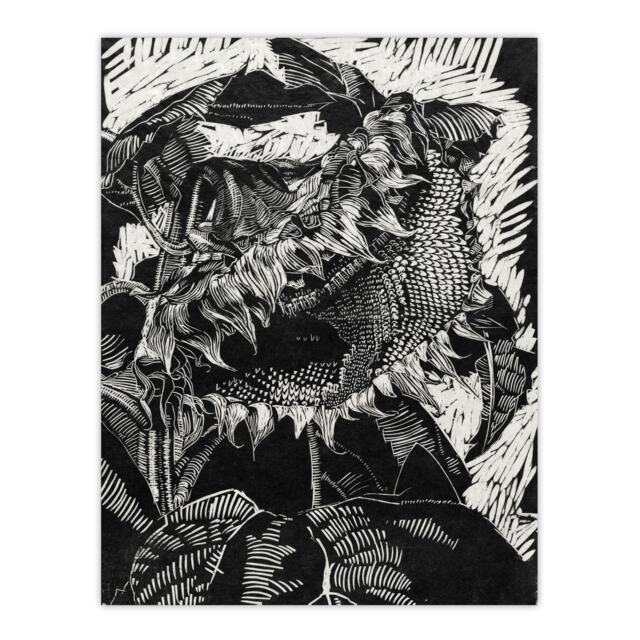 "Sunflower Stylised Flower Bloom Reijer Stolk Wall Art Poster Print 12X16"""