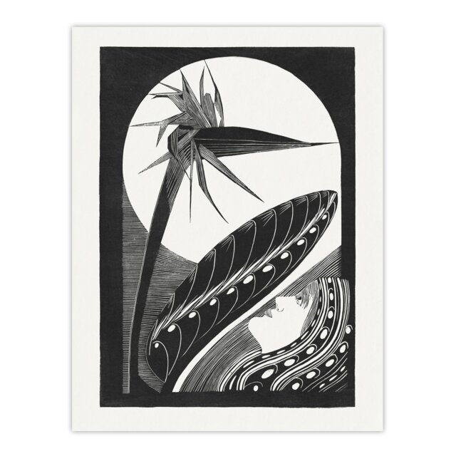 Strelitzia Overblown And Full Moon De Mesquita Huge Wall Art Print 18X24 In