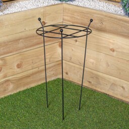 Tom Chambers Heavy Duty Black Metal Steel Garden Plant Support Grow Through - 60cm x 35cm