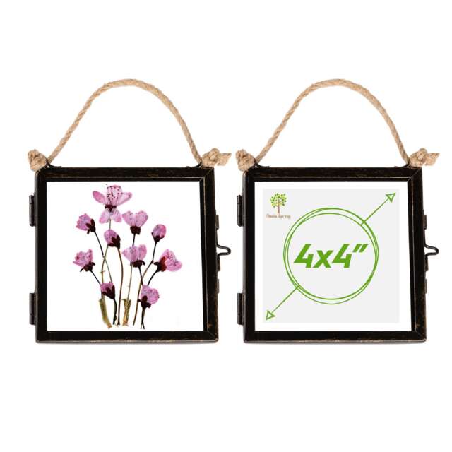"Nicola Spring Hanging Metal Photo Frames - 4"" x 4"" - Black - Pack of 2 Black Black One Size"