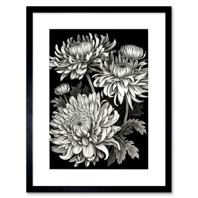 "Detailed Black White Chrysanthemum Flowers 9x7"" Black Framed Wall Art Print"