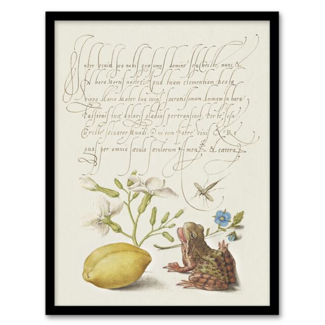 "Gillyflower Almond and Frog Calligraphy Framed Wall Art Print 12X16"""