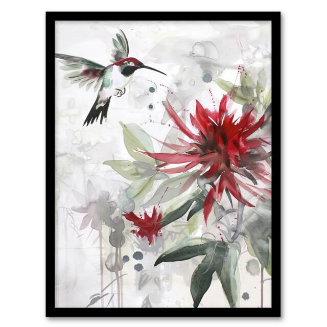 Hummingbird Red Monarda Flowers Watercolour Black Framed Wall Art Print A4