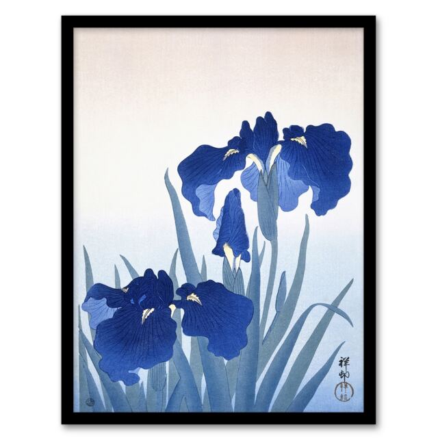 "Blue Iris Flowers Floral Japanese Framed Wall Art Print Ohara Koson 12x16"""