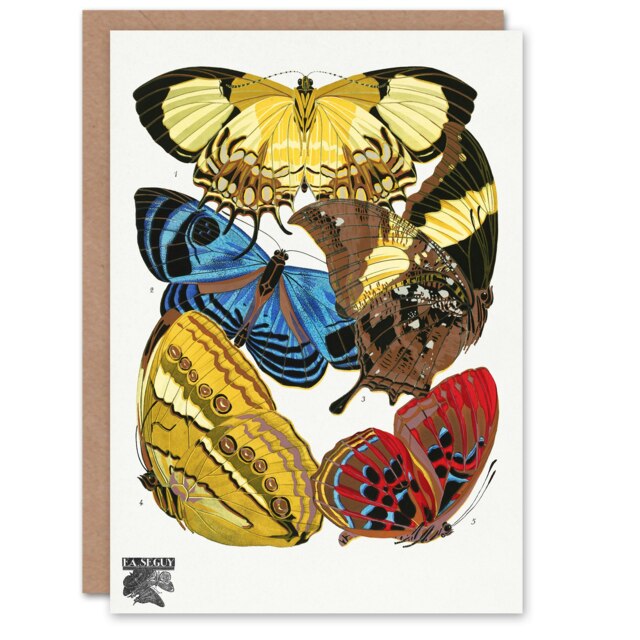 Eugene Seguy Art Card Vintage Butterflies Yellow Red Blue