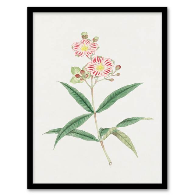 Vintage Japanese Botanical Framed Wall Art Print Red White Blossoms Home Décor