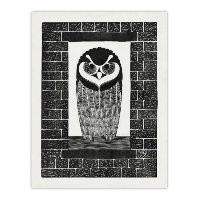 "Ringuil Owl Bird on a Window De Mesquita Wall Art Poster Print 12X16"""