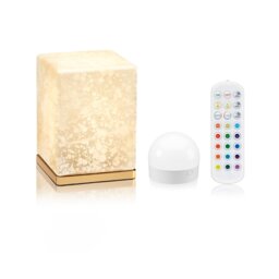 Omniance Delphine Rechargeable Wireless Table Lamp with Remote Cream