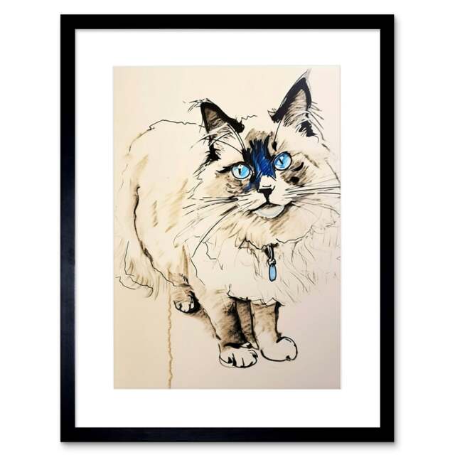 "Blue Point Ragdoll Cat Sketch Drawing Portrait 9x7"" Black Framed Wall Art Print"