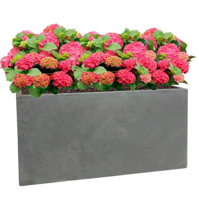 Light Concrete Grey Trough Garden Planter H41 L85 W26 cm, 91 ltrs Cap.