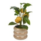 Artificial Citrus Lemon Fruit Tree Flower Pot Cream Beige gloss 1
