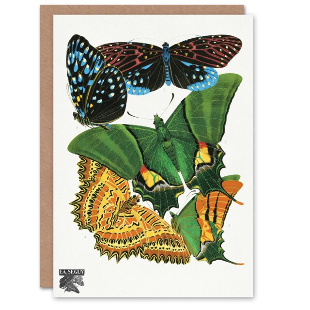 Eugene Seguy Art Card Vintage Vibrant Butterflies Papillons