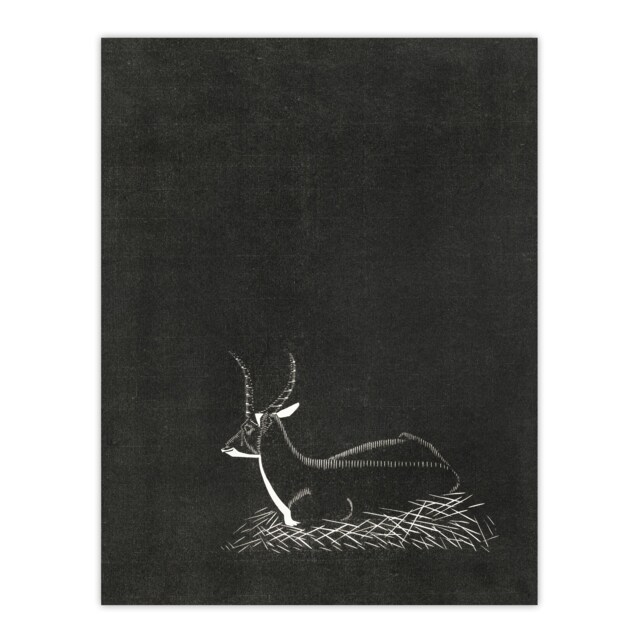 Stylised Waterbuck Painting De Mesquita Huge Wall Art Print 18X24 In