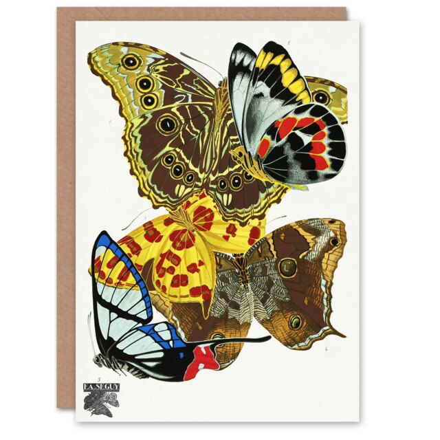 Eugene Seguy Art Card Papillons Bright Vintage Butterflies