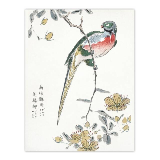 "Macaw Parrot and Peach Flowers Japan Wall Art Print Numata Kashu 18x24"""