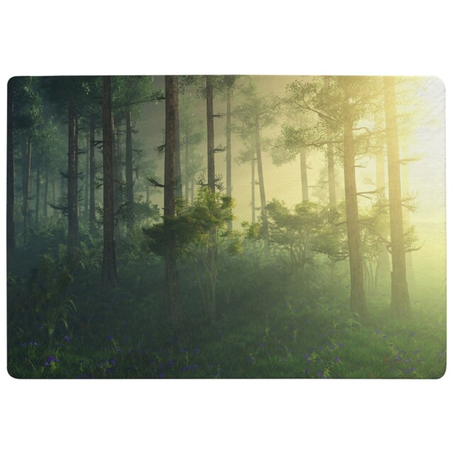 Sun, Trees In A Haze Of Light, Glowing Fog Among The Trees Designer Rug Multi