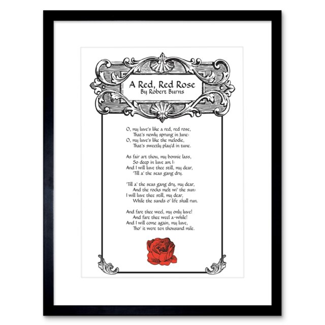"Quote Song Lyrics Red Rose Robert Burns 12x16"" Framed Wall Art Print"