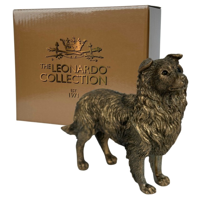 Border Collie Dog figurine, Leonardo Reflections Bronzed, gift boxed