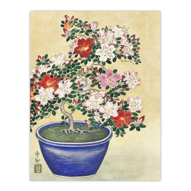 "Blooming Azalea In Blue Pot Vintage Japan Wall Art Print Koson 12x16"""