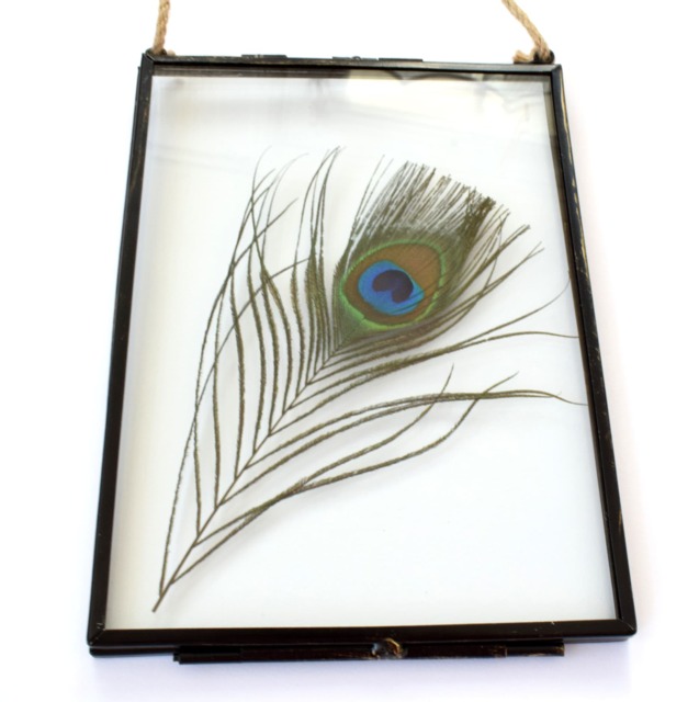 Real Peacock feather Floating Picture Frame. Spiritual Gift