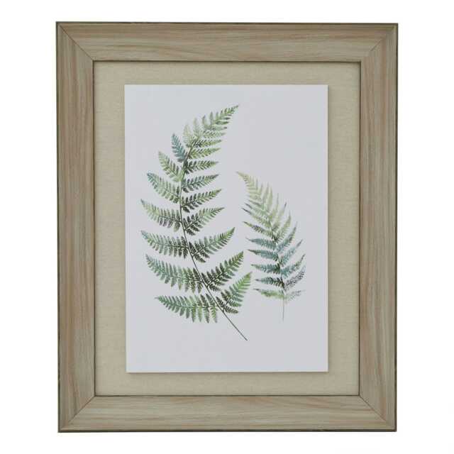 Hill Interiors Fern Duo Wood Framed Art Print - White/Green/Brown - 60cm x 5cm x 50cm White