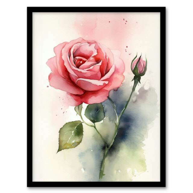 Rose Bloom Flower Soft Watercolour Green Black Framed Wall Art Print A4