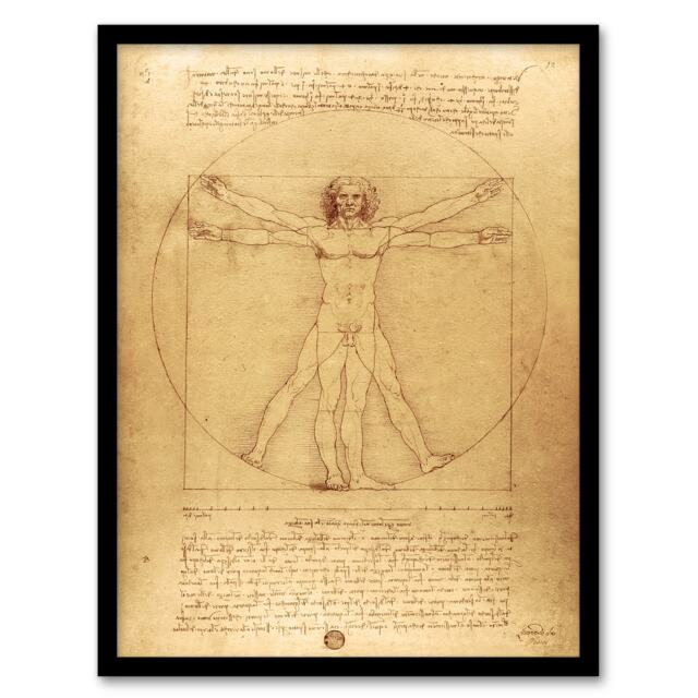 "Vitruvian Man Drawing da Vinci Vintage Framed Wall Art Print 12X16"""