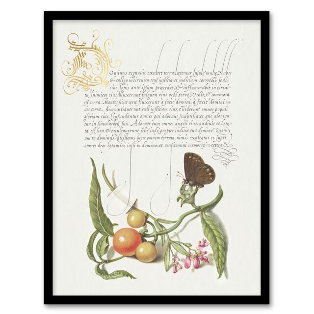 "Butterfly Cherries and Milkwort Calligraphy Framed Wall Art Print 12X16"""