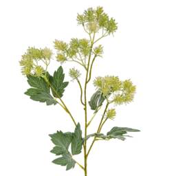 Hill Interiors French Meadow Rue Artificial Flower Spray Green Green One Size 1