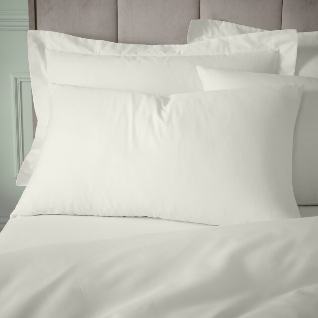Bianca 180 Thread Count Egyptian Cotton Standard Pillow case Pair Cream Standard