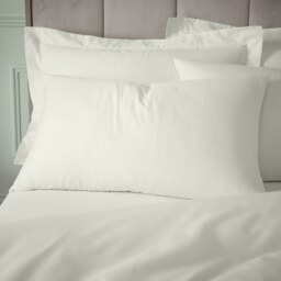 Bianca 180 Thread Count Egyptian Cotton Standard Pillow case Pair Cream Standard
