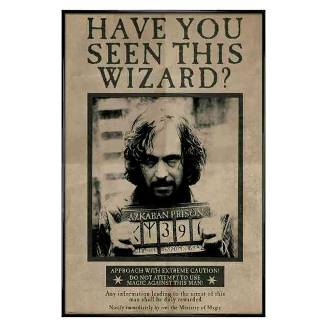 Gloss Black Framed Harry Potter Wanted Sirius Black Maxi Poster Multi