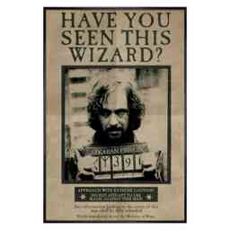 Gloss Black Framed Harry Potter Wanted Sirius Black Maxi Poster Multi