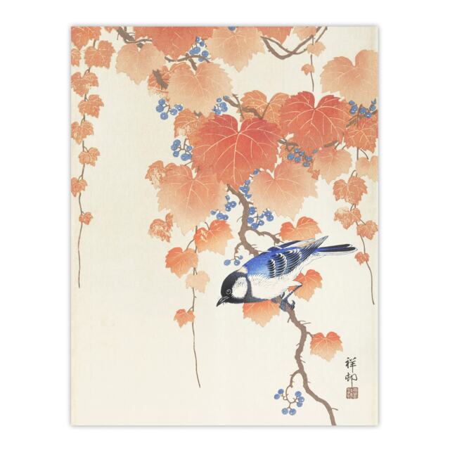 "Great Tit On Paulownia Branch Vintage Japan Wall Art Print Koson 24x32"""
