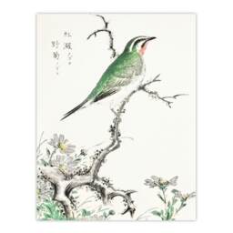 "Ruby Throat Bird and Wild Camomile Vintage Wall Art Print Kashu 12x16"""