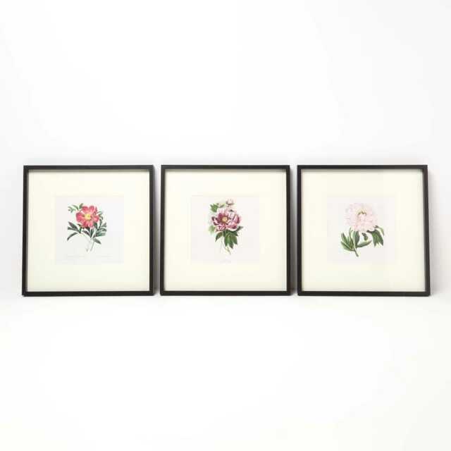 Homescapes Wall Decoration Set of 3 Frames with Picture, Peonies