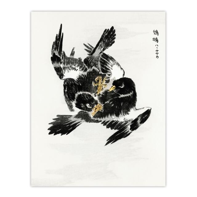 "Jungle Nightjar Bird Fight Japanese Vintage Wall Art Print Kashu 24x32"""